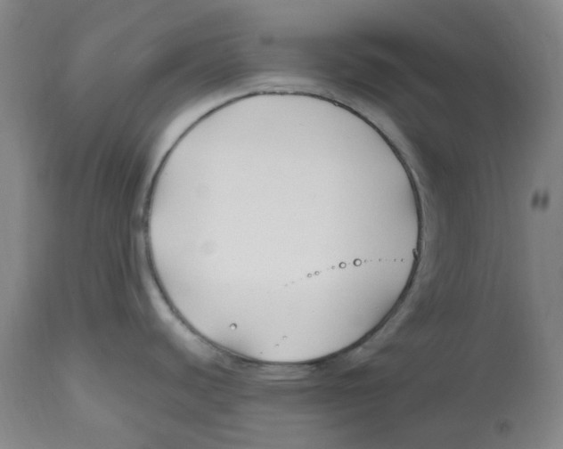 X0000112801440200909181526
