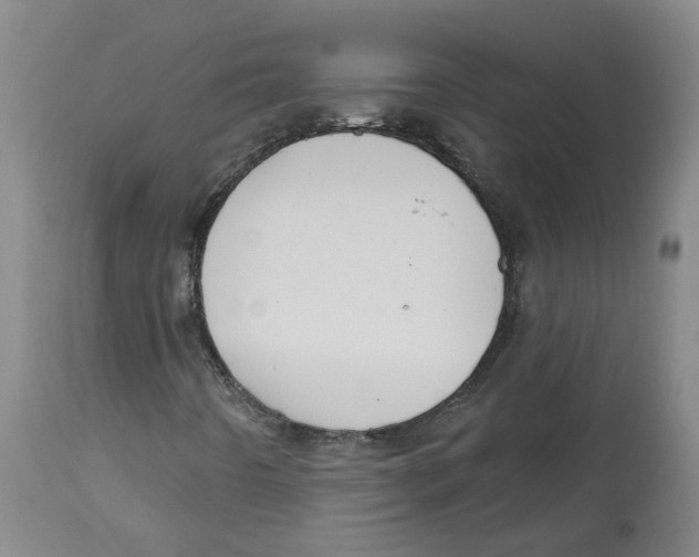 X0000112801442200909181526