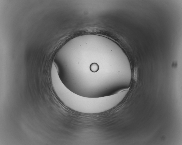 X0000112801444200909181526