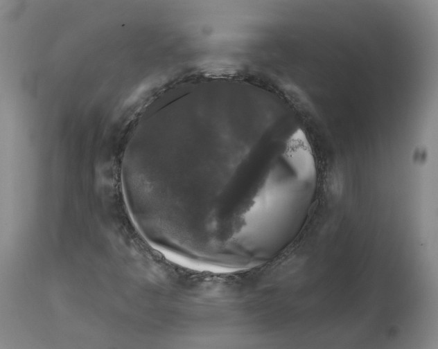 X0000112801445200909181526
