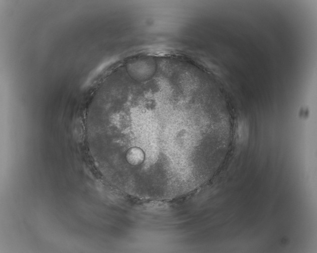 X0000112801446200909181526
