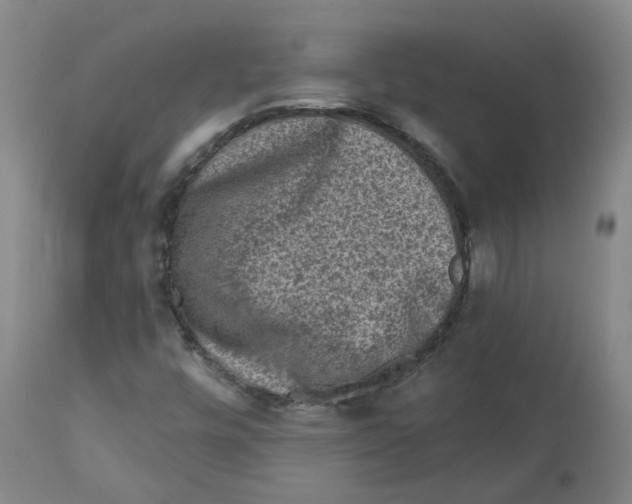 X0000112801448200909181526