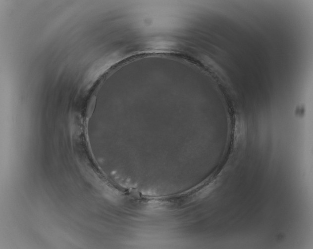 X0000112801449200909181526