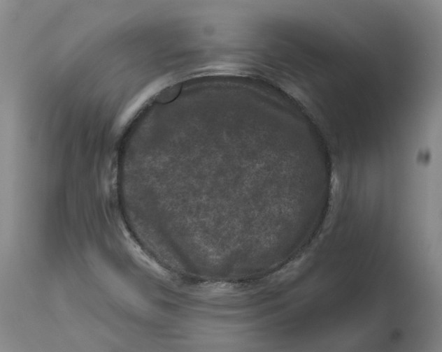 X0000112801450200909181526