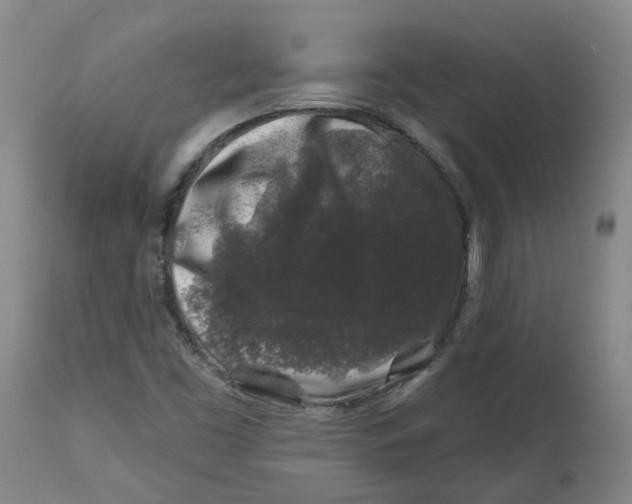X0000112801453200909181526