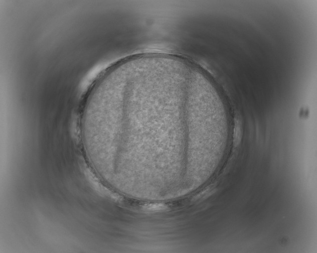 X0000112801454200909181526