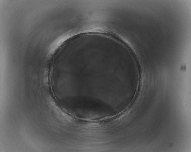 X0000112801455200909181526