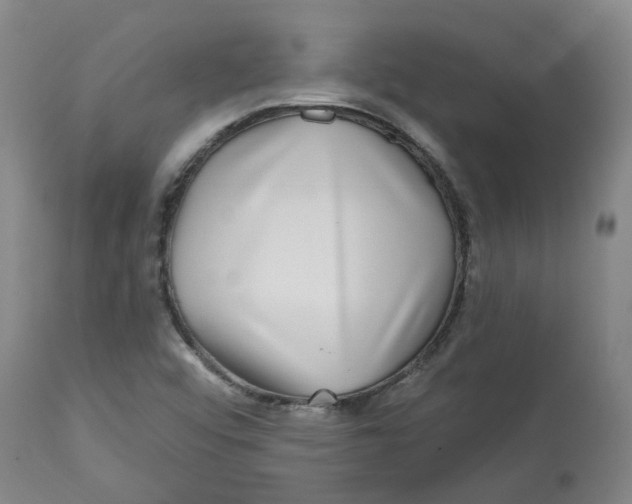 X0000112801456200909181526