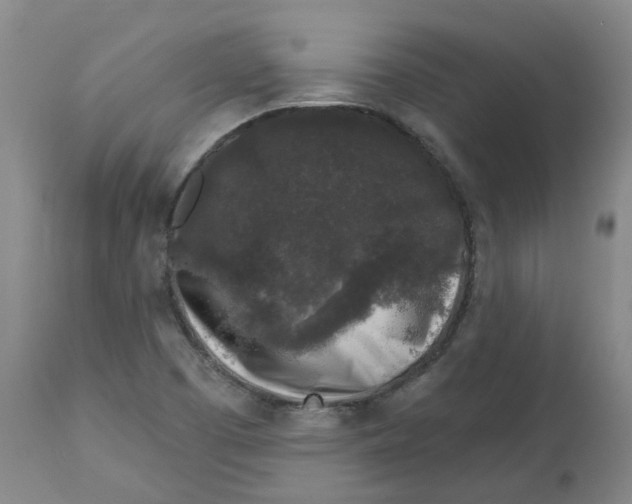 X0000112801457200909181526
