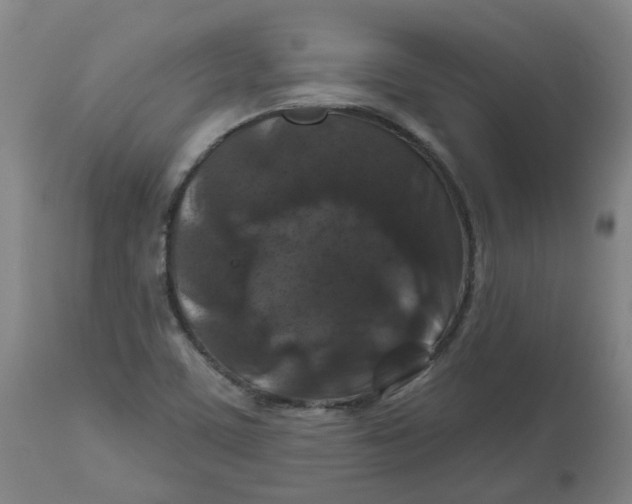 X0000112801459200909181526