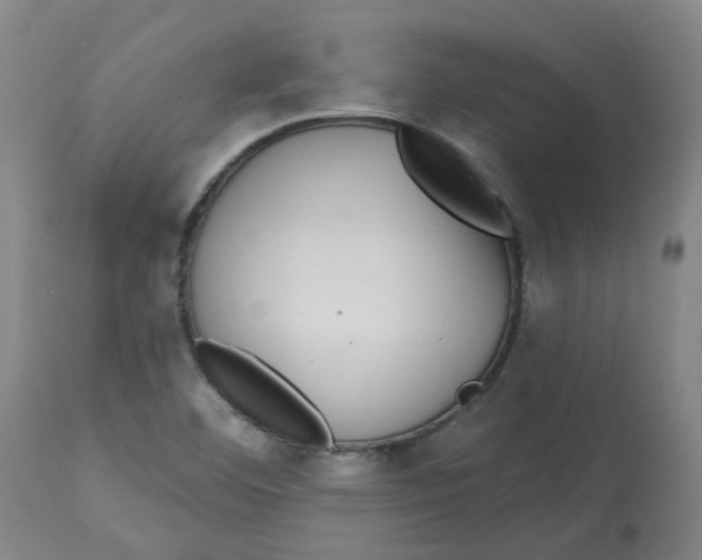 X0000112801460200909181526