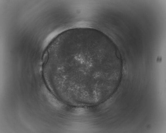 X0000112801461200909181525