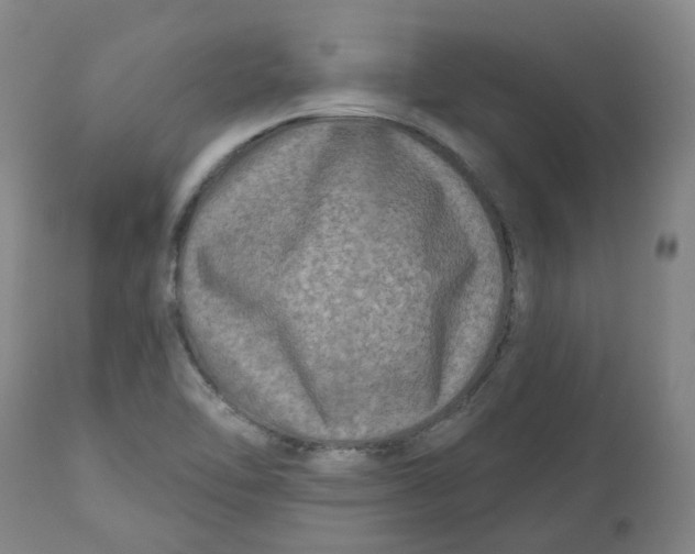 X0000112801462200909181525