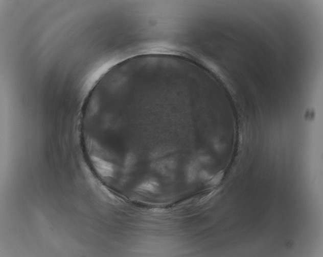 X0000112801463200909181525