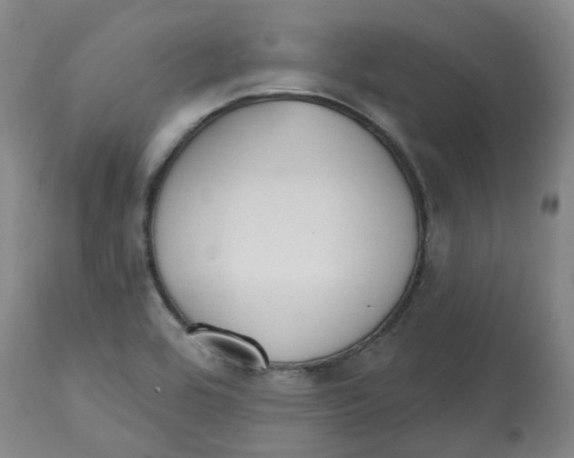 X0000112801464200909181525