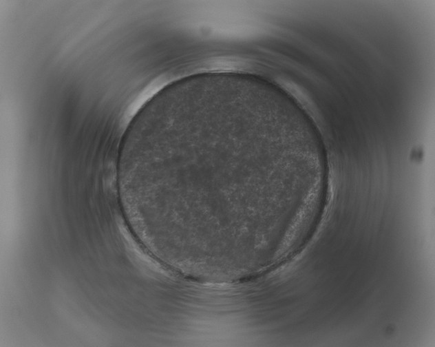 X0000112801465200909181525