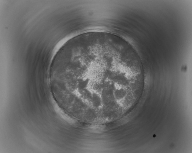 X0000112801466200909181525