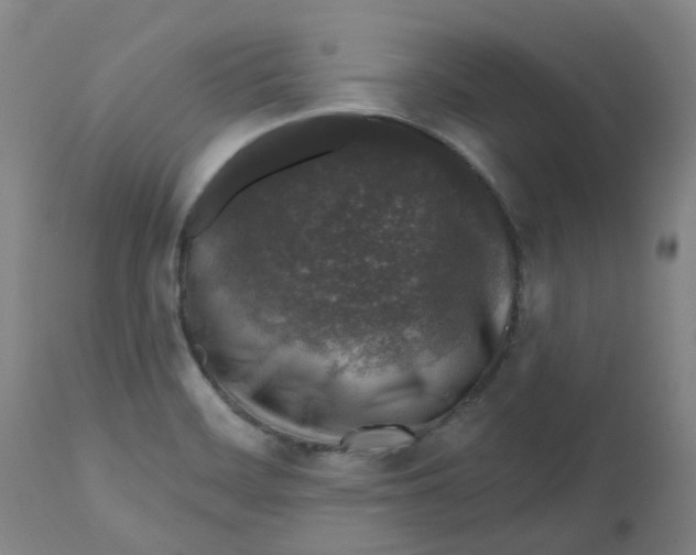 X0000112801468200909181525