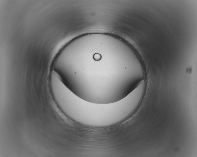 X0000112801469200909181525