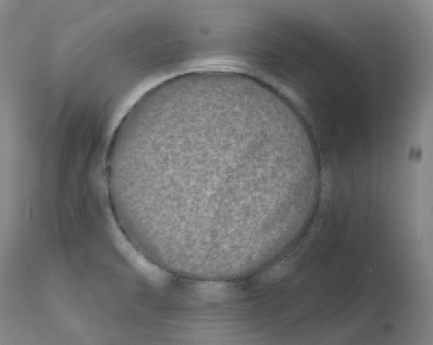 X0000112801470200909181525