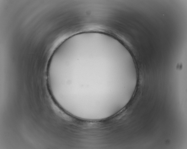 X0000112801471200909181525