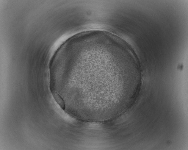 X0000112801472200909181525