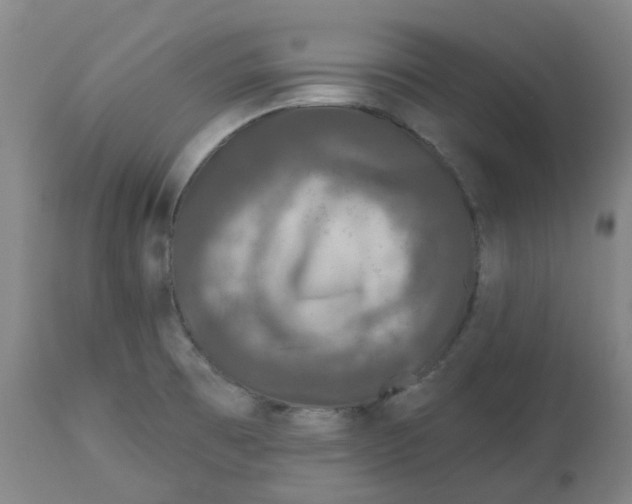 X0000112801473200909181525