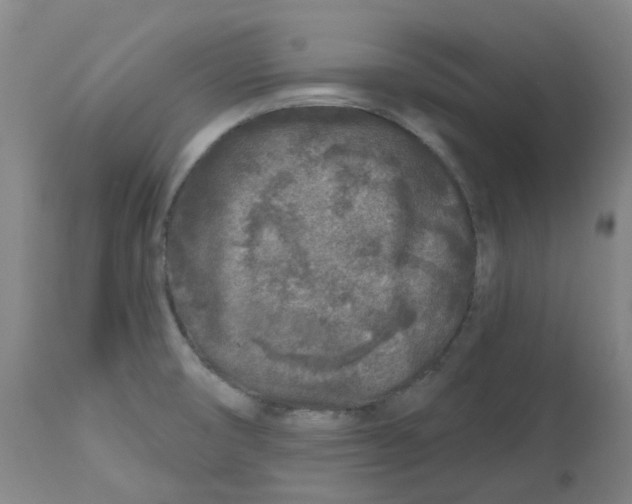 X0000112801474200909181525