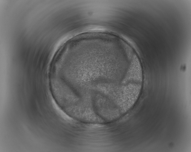 X0000112801475200909181525