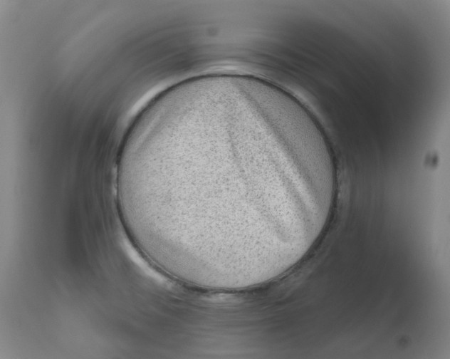 X0000112801476200909181525