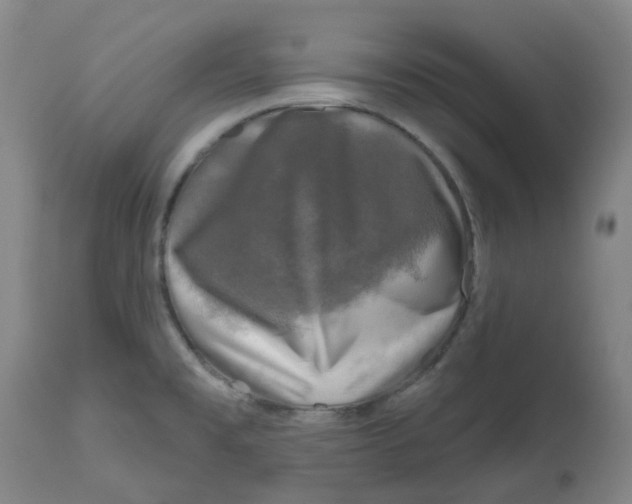 X0000112801477200909181525