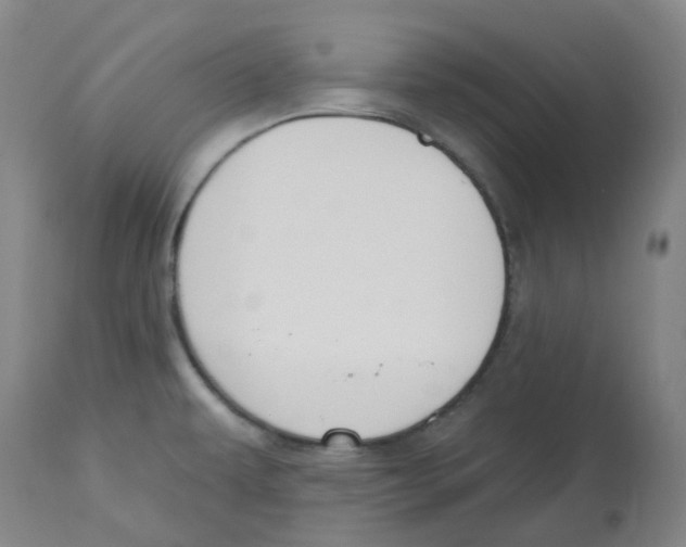 X0000112801479200909181525