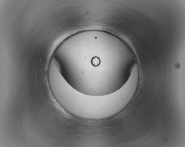 X0000112801480200909181525