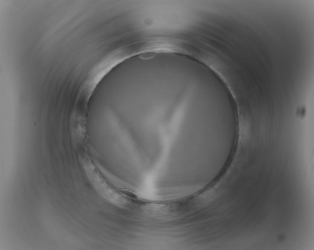 X0000112801481200909181525