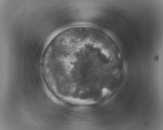 X0000112801482200909181525