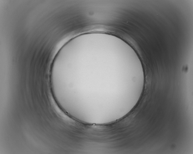 X0000112801483200909181525