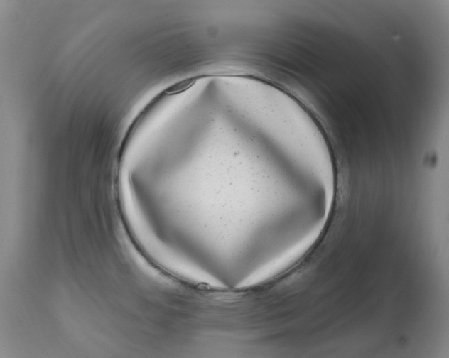 X0000112801484200909181525
