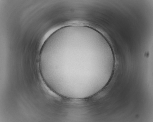 X0000112801486200909181525