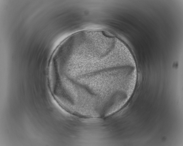 X0000112801487200909181525