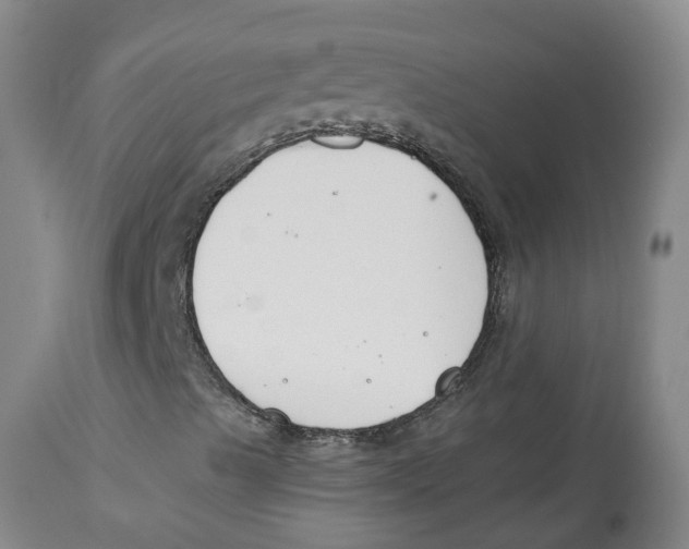 X0000112801489200909181524