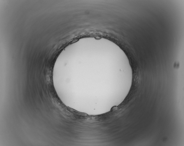 X0000112801490200909181524