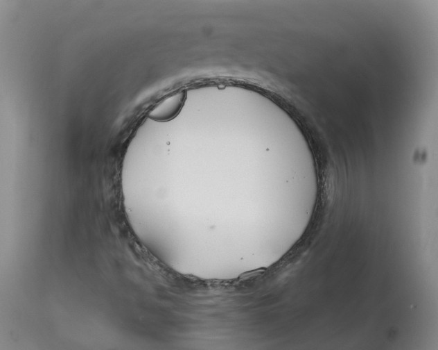 X0000112801494200909181524