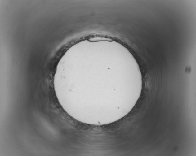 X0000112801495200909181524