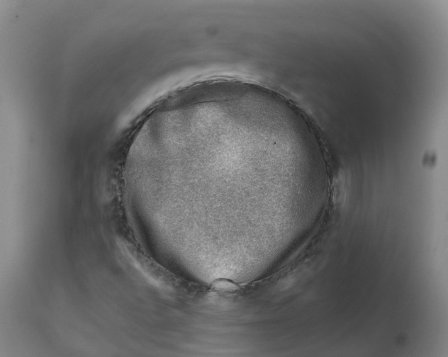 X0000112801496200909181524