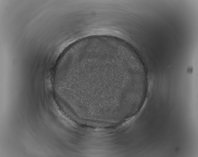 X0000112801497200909181524