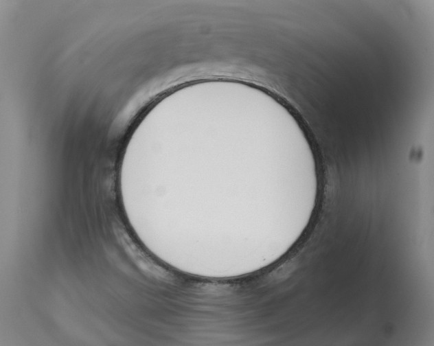 X0000112801499200909181524