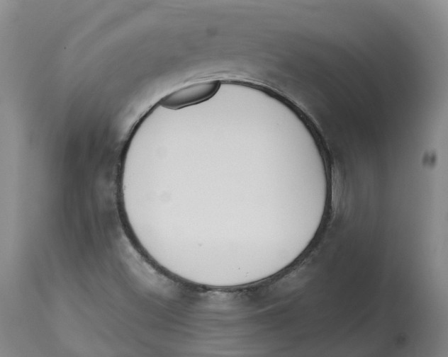 X0000112801500200909181524