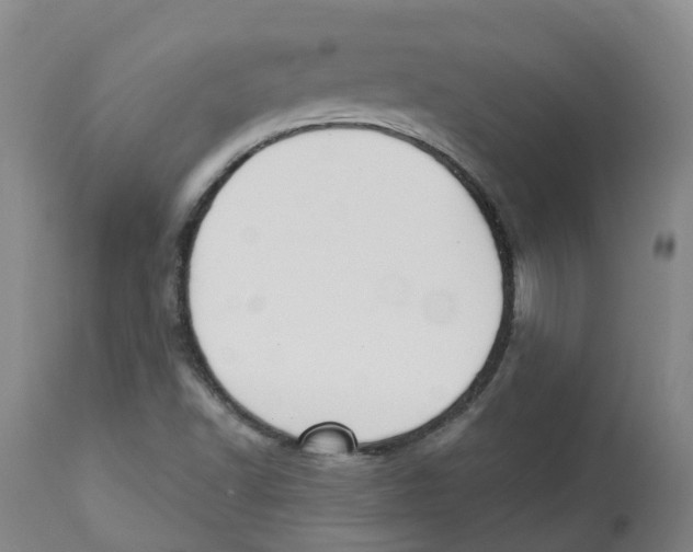 X0000112801502200909181524