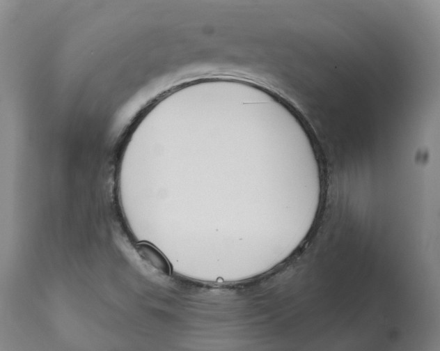 X0000112801503200909181524