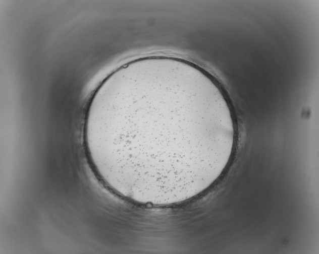 X0000112801504200909181524